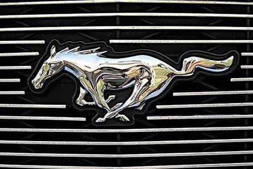 車(chē)標(biāo)上的動(dòng)物都是啥來(lái)頭？看完又能出去裝X了