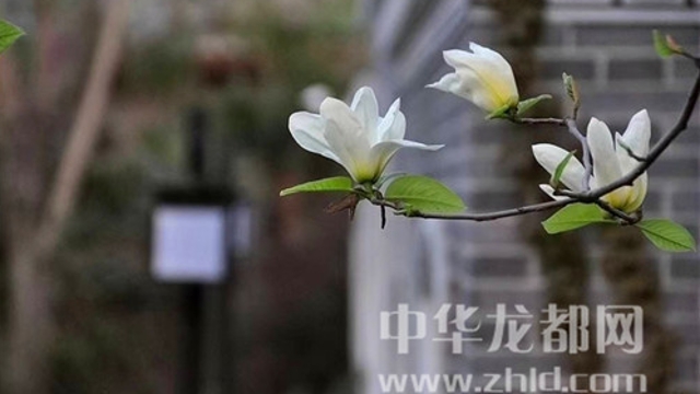 淮陽蓮舍，多了一份味道