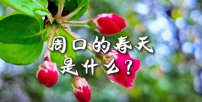 周口的春天，待你慢慢遇見